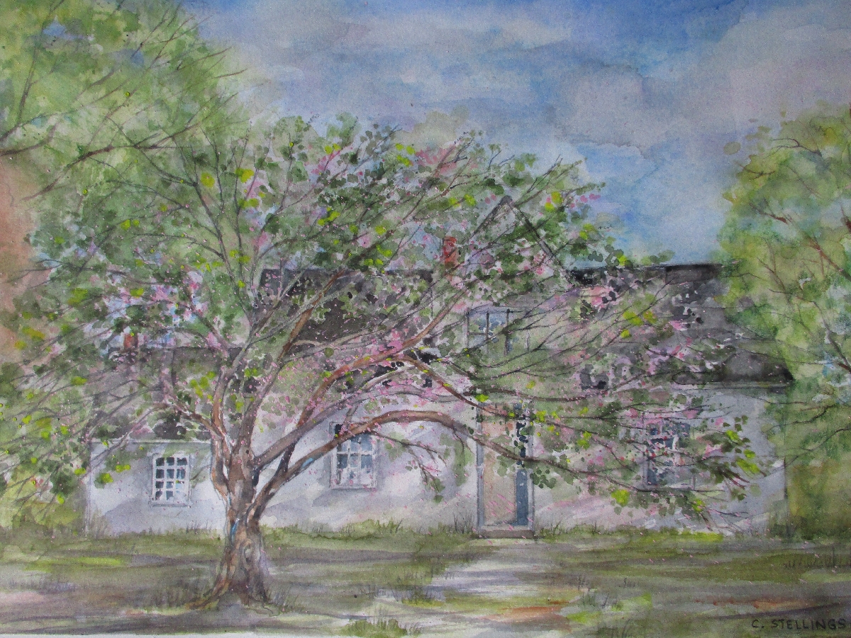 Caroline Stellings 1.jpg Painting of the lovely old home in Cavendish in which Maud grew up. It is spring, and the apple tree is in full bloom.