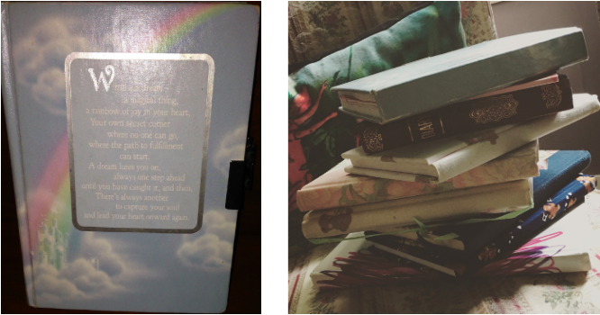 Picture of Melanie Fishbane’s personal Journals. On the left is her first diary, which has a blue background. The right is a photo of the spines of her teenage Journals. 