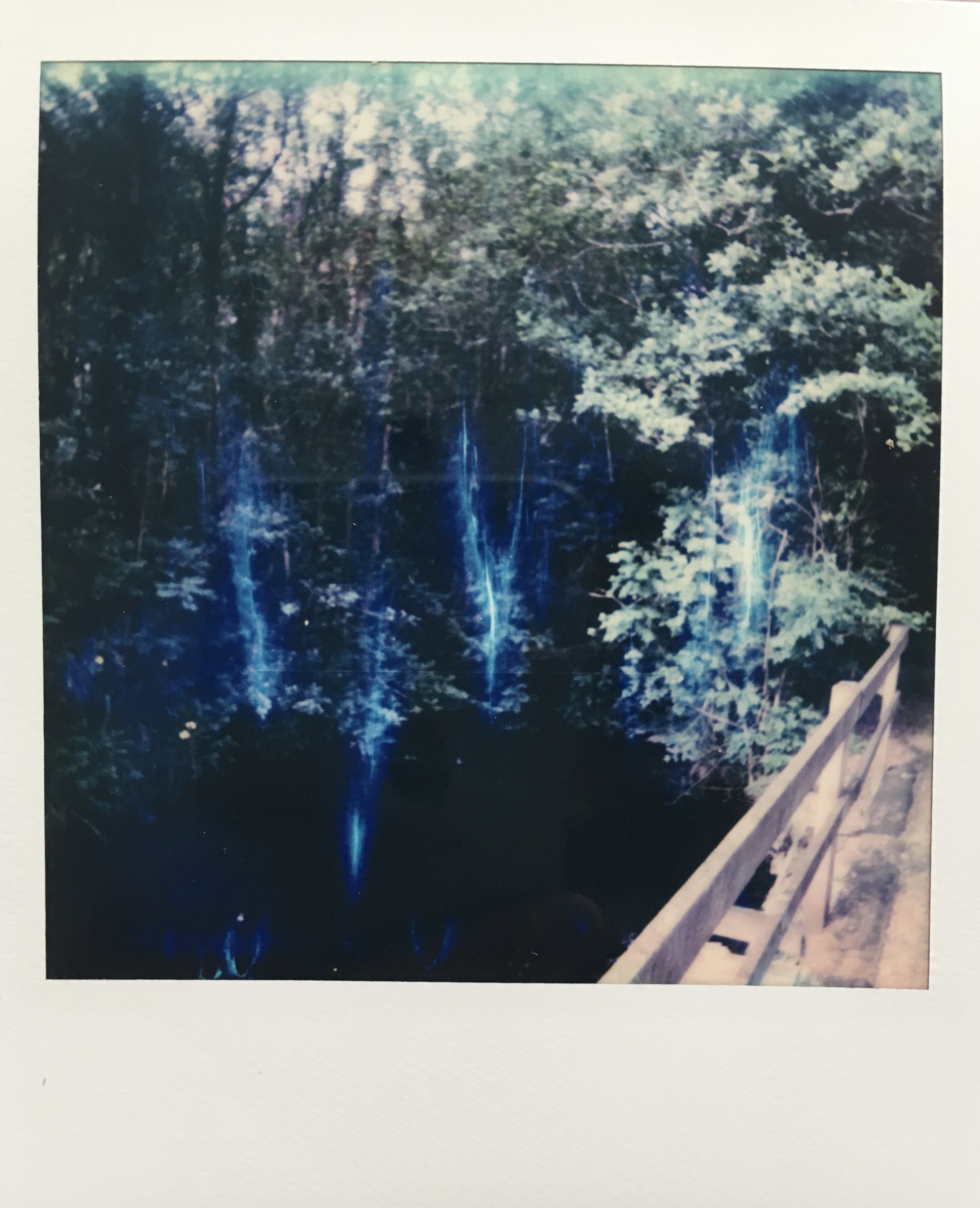 A faded wood fence overlooks a black pool reflecting the trees above.