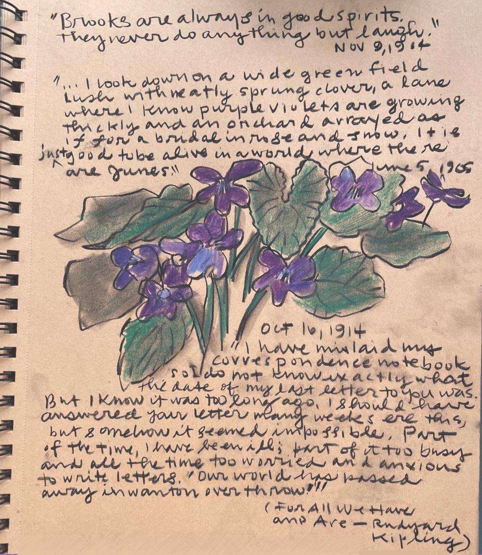 Purple violets. A drawing of blue and purple violets surrounded by green leaves. Three nature-related quotations are handwritten around the flowers.