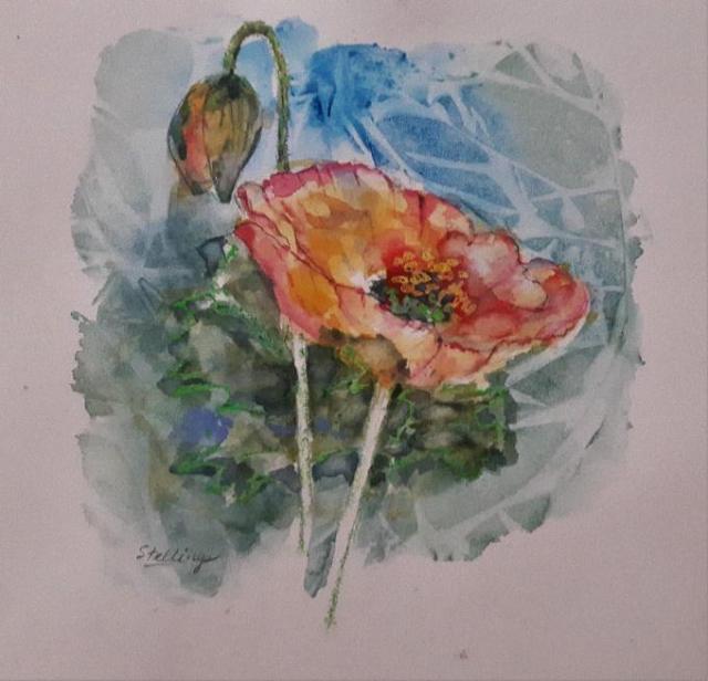 Poppy Small watercolour illustration of a bright red poppy in bloom.