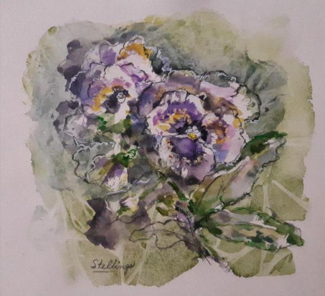 Pansies Small watercolour illustration of purple and yellow pansies.