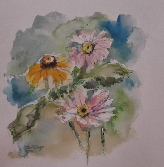Daisies Small watercolour illustration of a group of multicoloured daisies.