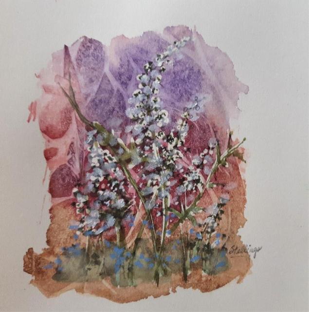Mignonette Small watercolour illustration of mignonette plants.