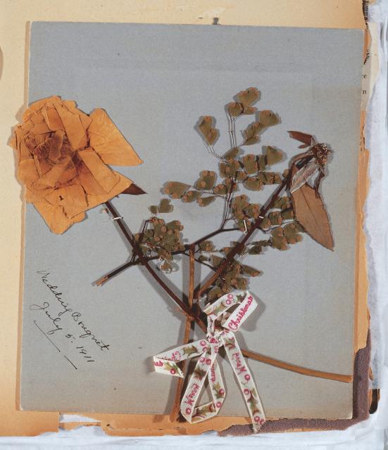 Wedding bouquet in red scrapbook Two pressed roses and a sprig of maidenhair fern from Montgomery’s Red Scrapbook, Archival and Special Collections, University of Guelph.