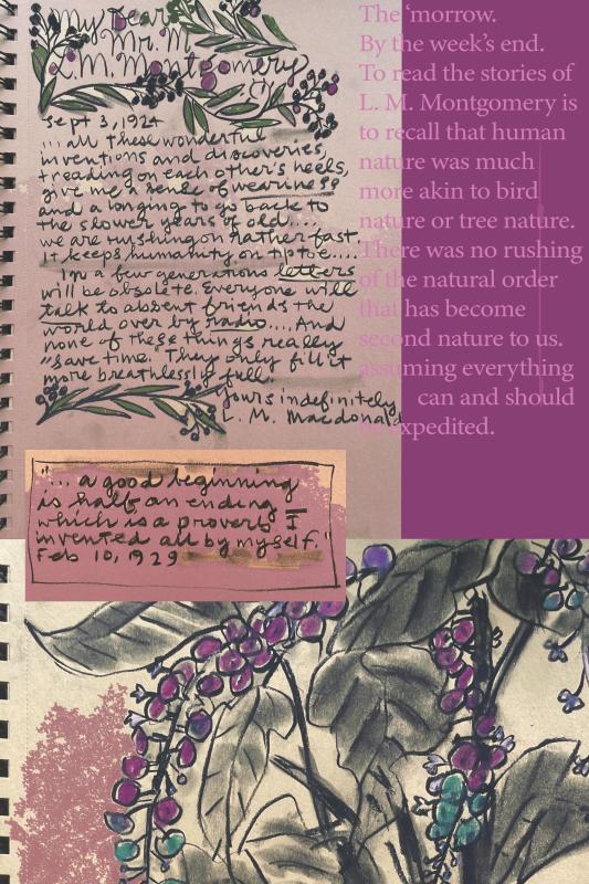 A collage in drawing and prose about L.M. Montgomery. A collage with a letter from LMM, a short quotation about beginnings, a drawing of purple and green pokeberries, and a purple block with typed text about LMM and nature.