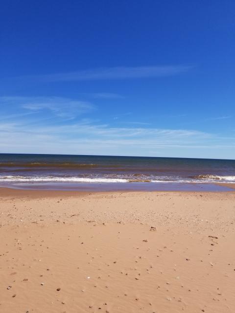 Jones Image 4 A photograph of a shoreline with small waves rolling onto the red sand. The horizon merges with faint white clouds under a deep blue sky.