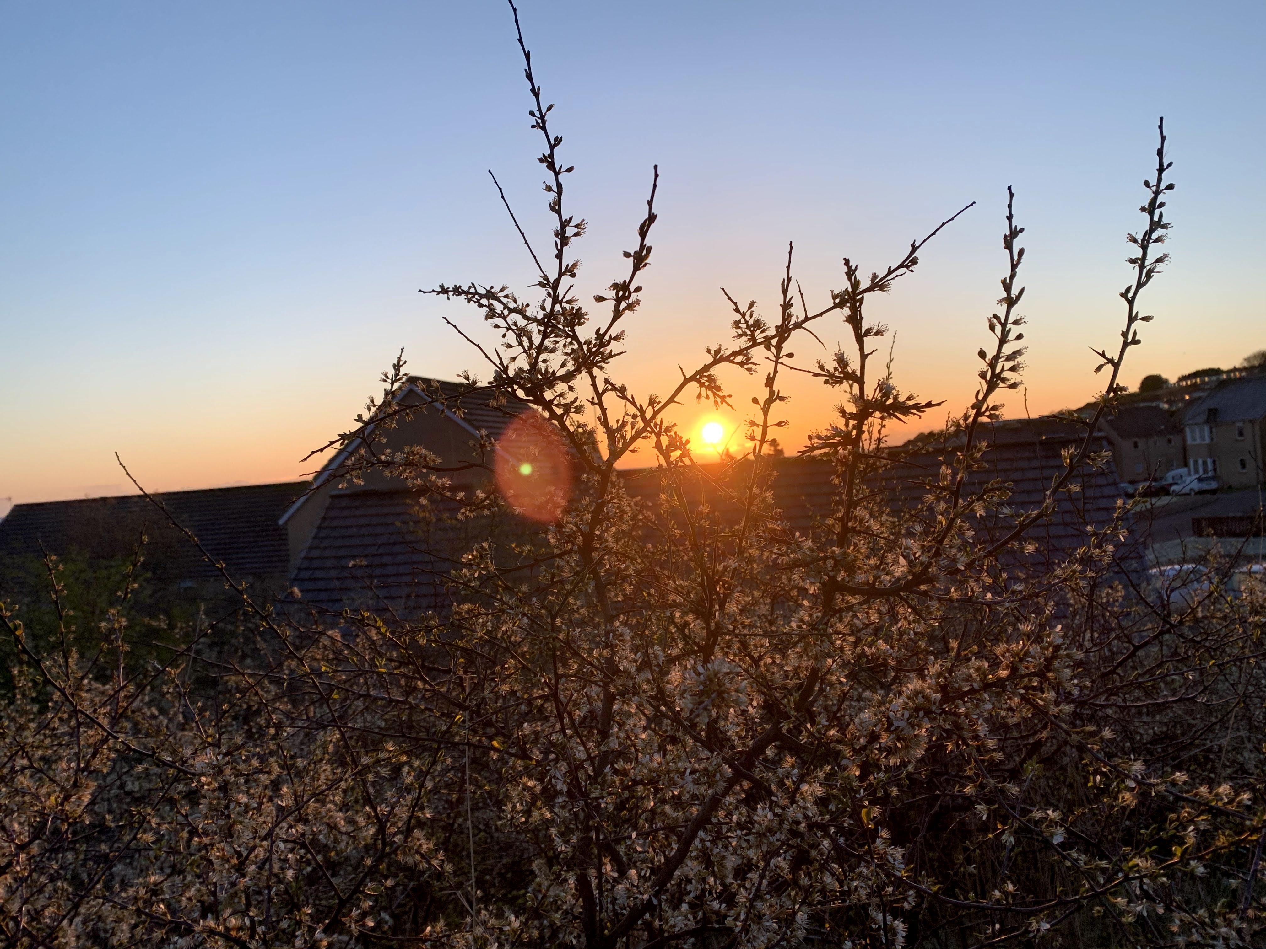 Photo of a sunset over a roof