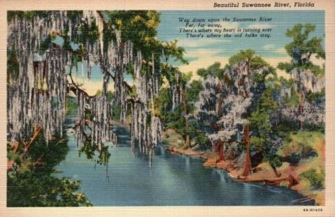 Cavert Figure 10 Postcard of Suwanee River. Trees line either side of a still body of water.