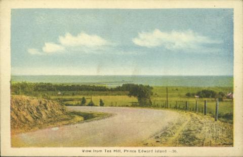 Front of a postcard depicting Tea Hill, PEI. A road turns left and disappears to the left of the image. There are fields that meet water in the background. 