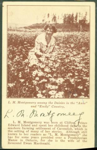 Postcard Postcard