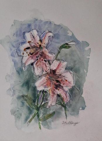 Lily Small watercolour illustration of a white lily plant with pink spots.