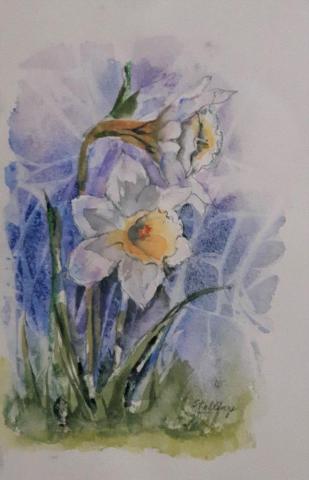 Narcissus Small watercolour illustration of white narcissus with yellow centre.