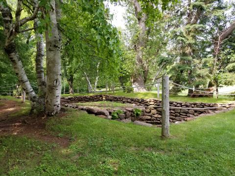 Jones Image 2 (Homesite) A photograph of a foundation and cellar set in a green lawn and surrounded by trees in leaf.