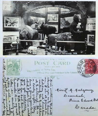 Photo of a postcard. Top (front) is a photo of taxidermied animals in a room. The bottom (back) is a written message to Montgomery. 