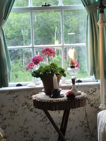 Sellers Reflections Image 2 Photo of an oil lamp on a stand at a mullioned window framed in pale green curtains with a pink geranium beside it.