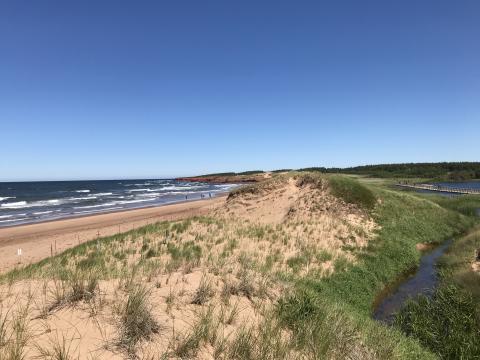 Sellers Reflections Image 3 Landscape photo of a sandy shore with grass in the foreground and a sea with windswept waves under a clear blue sky.