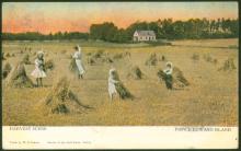 A family dressed in white gathers hay in a golden field.